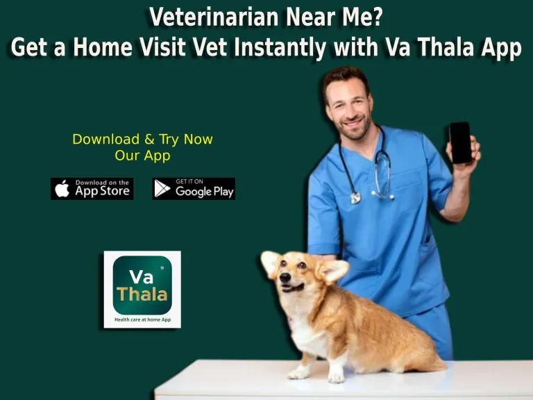 Veterinarian Near Me? Get a Home Visit Vet Instantly with Va Thala App