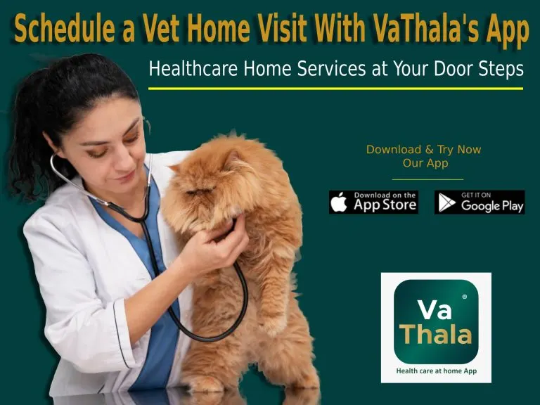 Veterinary Doctor Home Visit With VaThala’s App