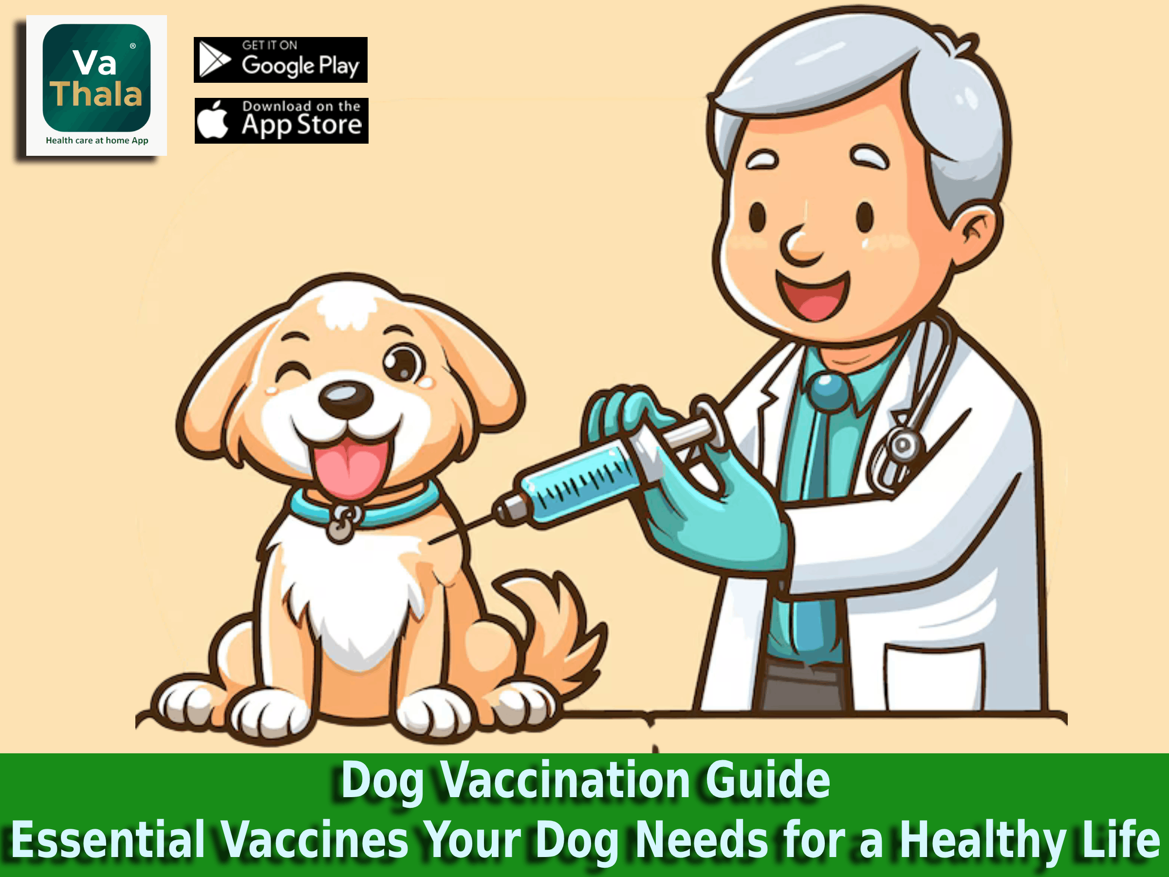 Dog Vaccination Guide: Essential Vaccines Your Dog Needs for a Healthy Life